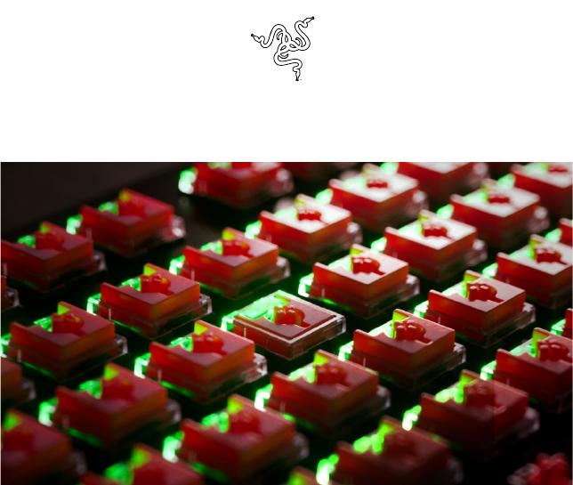 Razer lanseaza gama de tastaturi DeathStalker V2